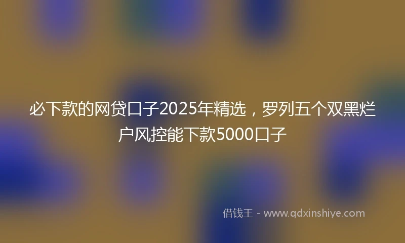 必下款的网贷口子2025年精选，罗列五个双黑烂户风控能下款5000口子