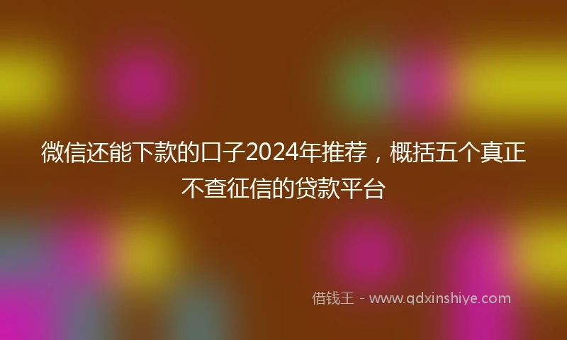 微信还能下款的口子2024年推荐，概括五个真正不查征信的贷款平台
