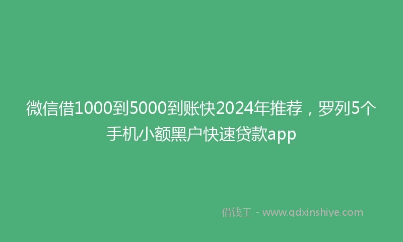 微信借1000到5000到账快2024年推荐，罗列5个手机小额黑户快速贷款app