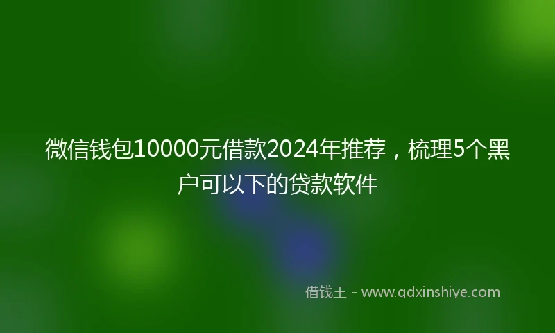 微信钱包10000元借款2024年推荐，梳理5个黑户可以下的贷款软件