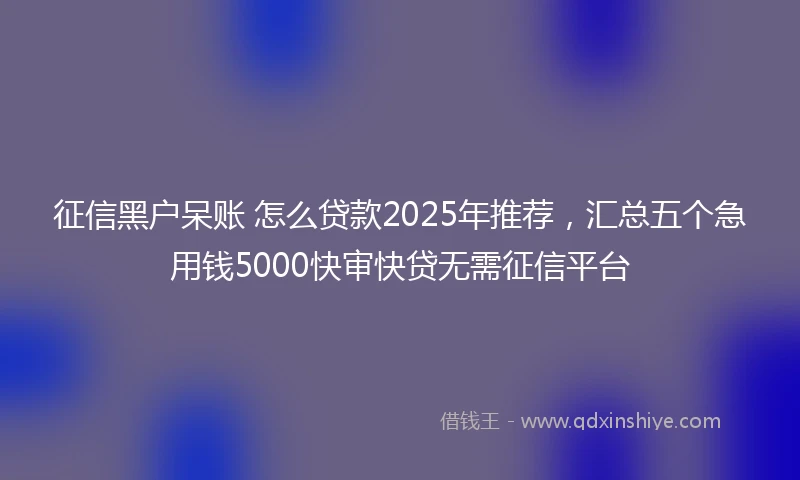 征信黑户呆账 怎么贷款2025年推荐,汇总五个急用钱5000快审快贷无需征信平台