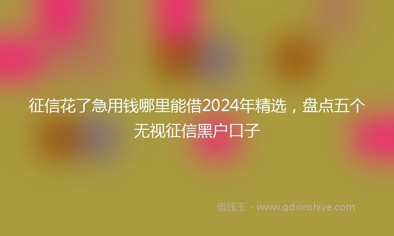 征信花了急用钱哪里能借2024年精选，盘点五个无视征信黑户口子