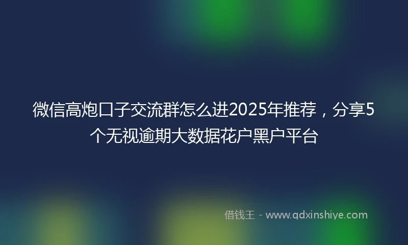 微信高炮口子交流群怎么进2025年推荐，分享5个无视逾期大数据花户黑户平台