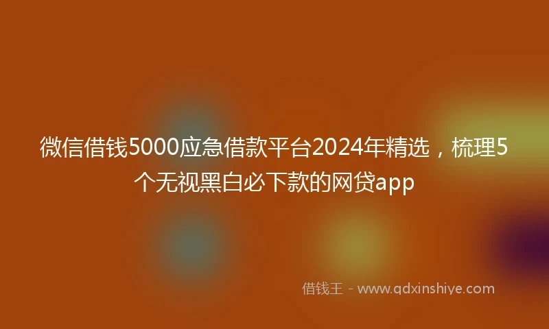 微信借钱5000应急借款平台2024年精选，梳理5个无视黑白必下款的网贷app