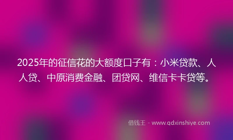 2025年的征信花的大额度口子有：小米贷款、人人贷、中原消费金融、团贷网、维信卡卡贷等。