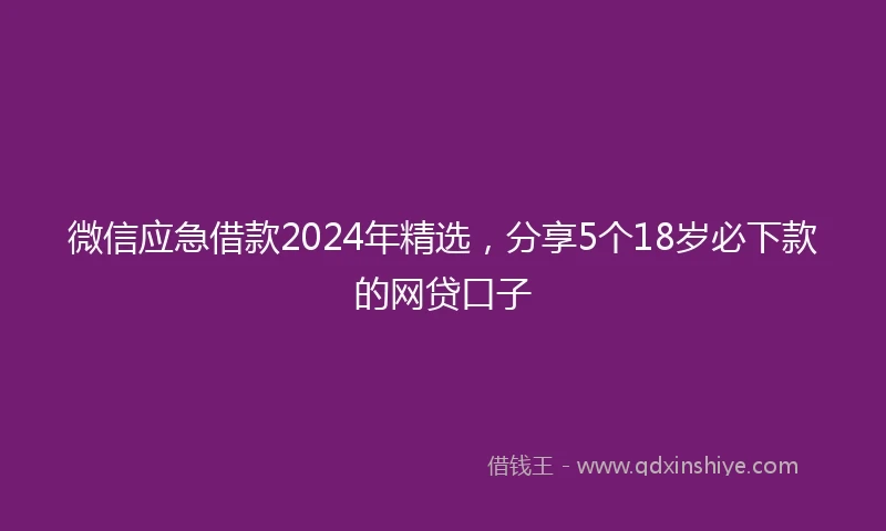 微信应急借款2024年精选，分享5个18岁必下款的网贷口子