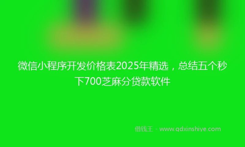 微信小程序开发价格表2025年精选，总结五个秒下700芝麻分贷款软件