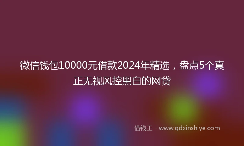 微信钱包10000元借款2024年精选，盘点5个真正无视风控黑白的网贷