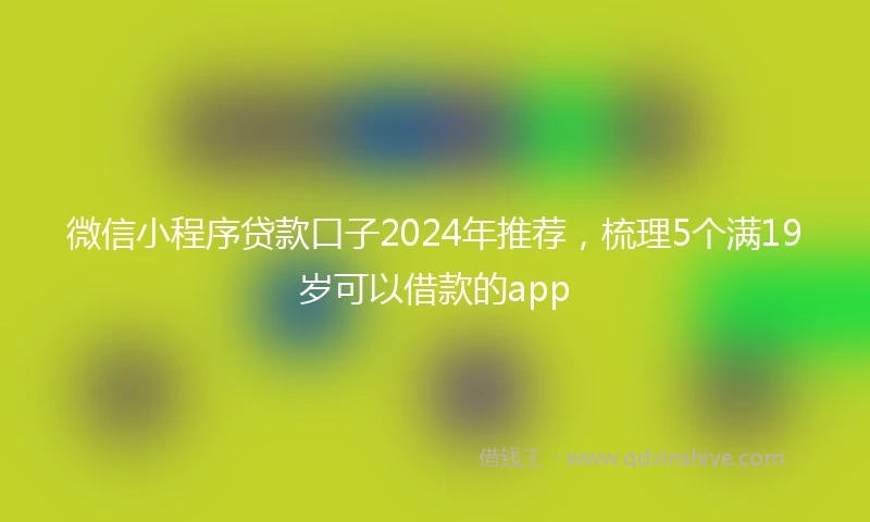 微信小程序贷款口子2024年推荐，梳理5个满19岁可以借款的app