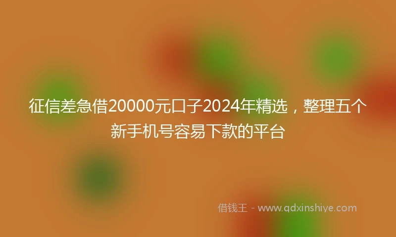 征信差急借20000元口子2024年精选，整理五个新手机号容易下款的平台