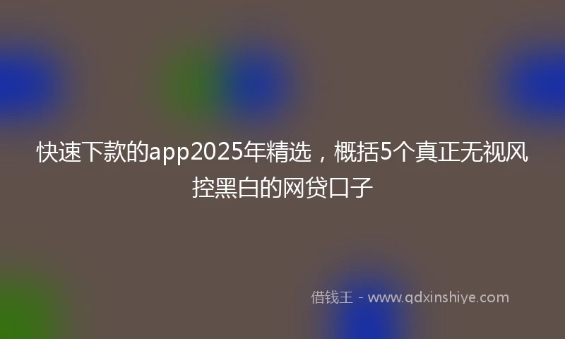快速下款的app2025年精选，概括5个真正无视风控黑白的网贷口子
