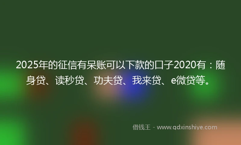 2025年的征信有呆账可以下款的口子2020有：随身贷、读秒贷、功夫贷、我来贷、e微贷等。