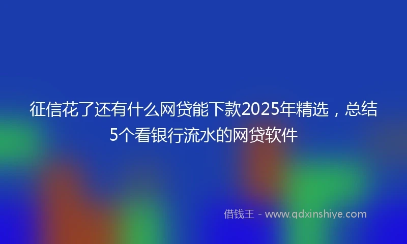 征信花了还有什么网贷能下款2025年精选，总结5个看银行流水的网贷软件