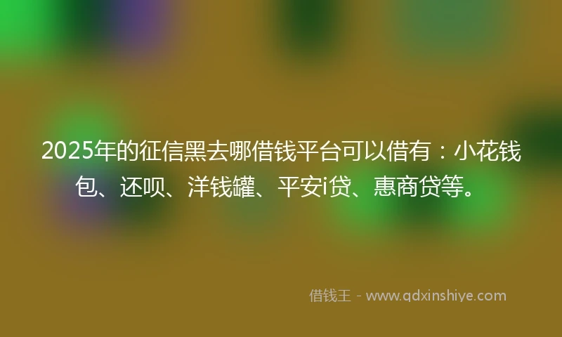 2025年的征信黑去哪借钱平台可以借有：小花钱包、还呗、洋钱罐、平安i贷、惠商贷等。