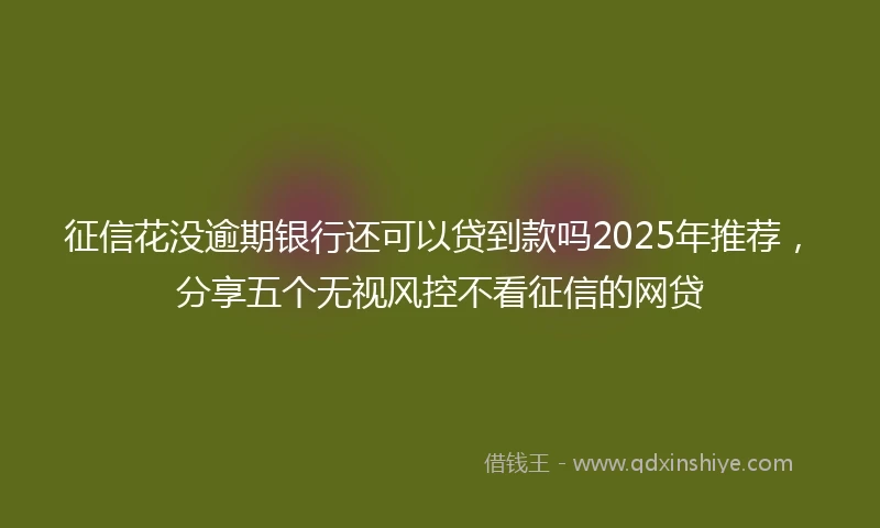 征信花没逾期银行还可以贷到款吗2025年推荐，分享五个无视风控不看征信的网贷