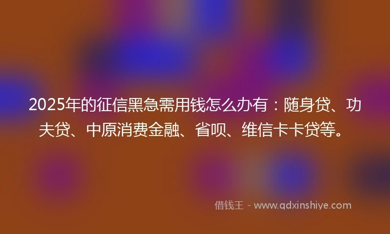 2025年的征信黑急需用钱怎么办有：随身贷、功夫贷、中原消费金融、省呗、维信卡卡贷等。