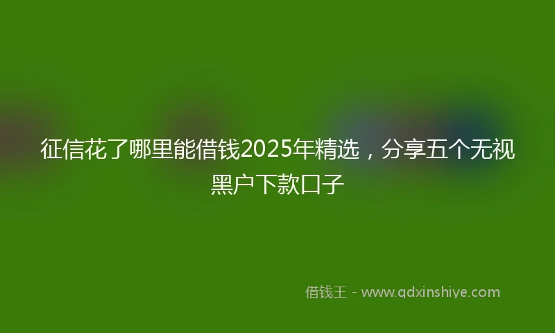 征信花了哪里能借钱2025年精选，分享五个无视黑户下款口子