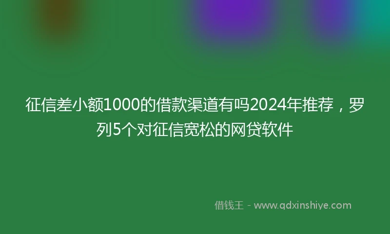 征信差小额1000的借款渠道有吗2024年推荐，罗列5个对征信宽松的网贷软件