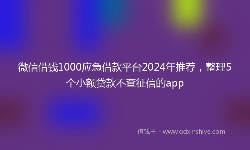 微信借钱1000应急借款平台2024年推荐，整理5个小额贷款不查征信的app