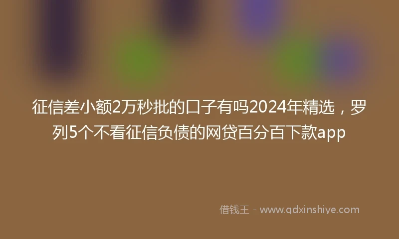 征信差小额2万秒批的口子有吗2024年精选，罗列5个不看征信负债的网贷百分百下款app