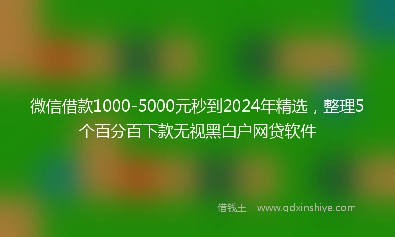 微信借款1000-5000元秒到2024年精选，整理5个百分百下款无视黑白户网贷软件