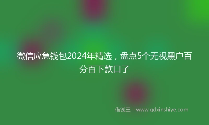 微信应急钱包2024年精选,盘点5个无视黑户百分百下款口子