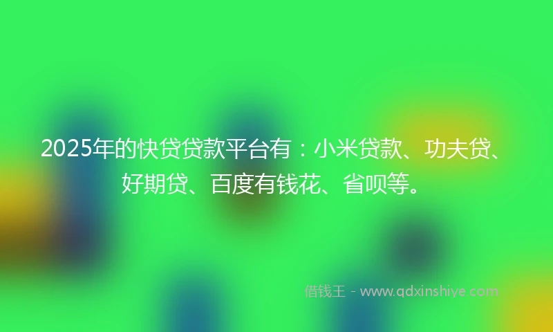 2025年的快贷贷款平台有：小米贷款、功夫贷、好期贷、百度有钱花、省呗等。