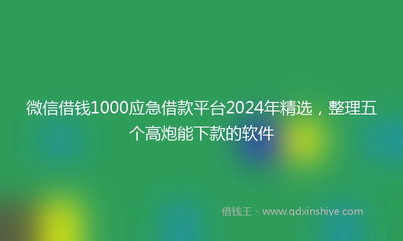 微信借钱1000应急借款平台2024年精选，整理五个高炮能下款的软件