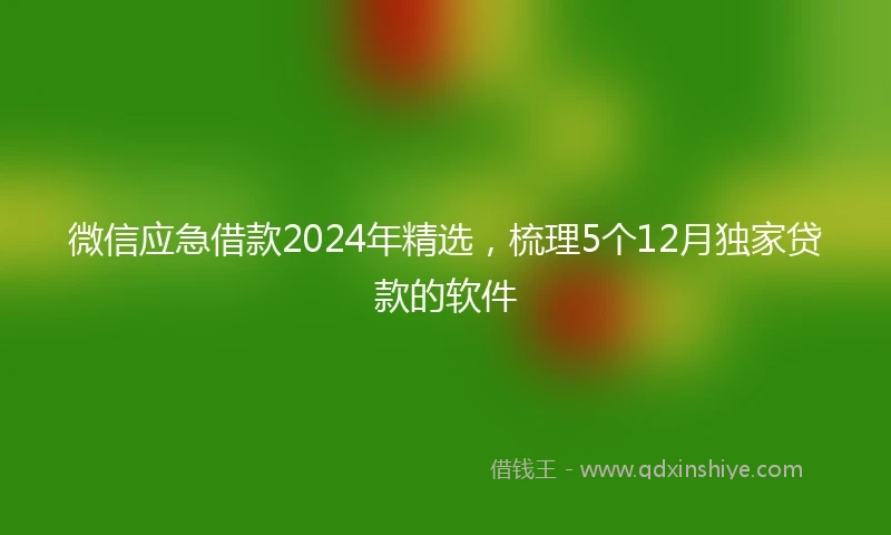 微信应急借款2024年精选，梳理5个12月独家贷款的软件
