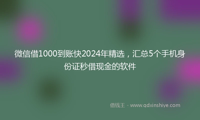 微信借1000到账快2024年精选，汇总5个手机身份证秒借现金的软件