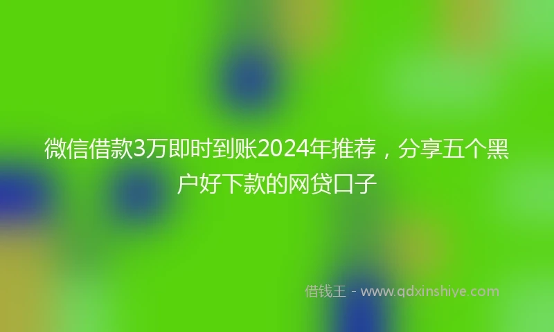 微信借款3万即时到账2024年推荐，分享五个黑户好下款的网贷口子