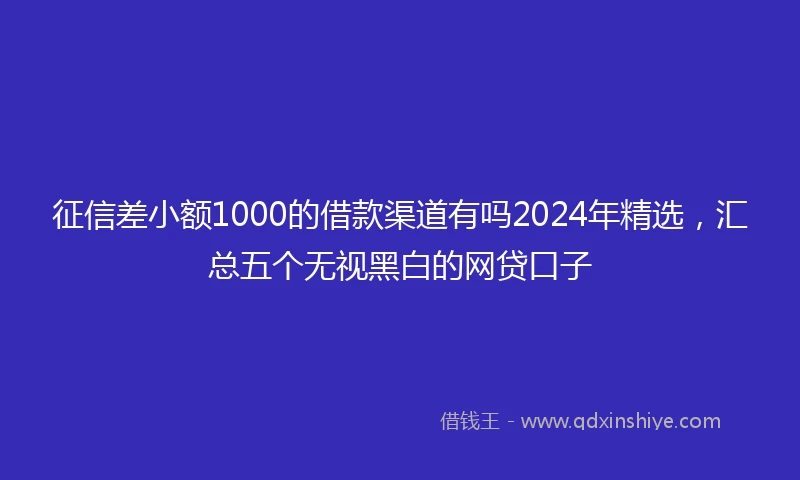 征信差小额1000的借款渠道有吗2024年精选，汇总五个无视黑白的网贷口子