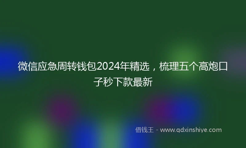 微信应急周转钱包2024年精选，梳理五个高炮口子秒下款最新