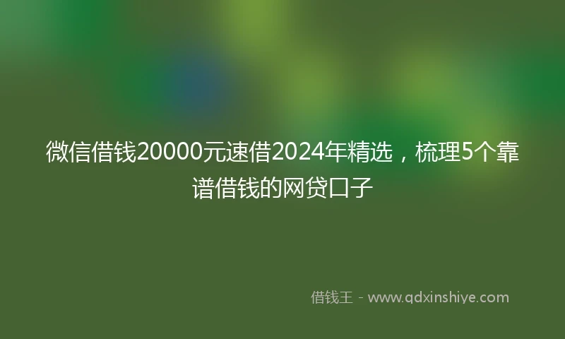 微信借钱20000元速借2024年精选,梳理5个靠谱借钱的网贷口子