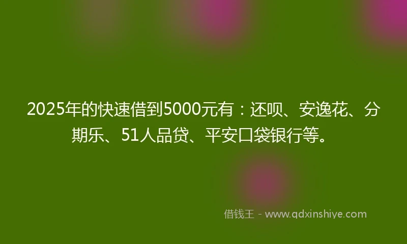 2025年的快速借到5000元有：还呗、安逸花、分期乐、51人品贷、平安口袋银行等。