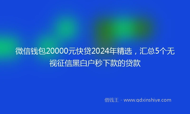 微信钱包20000元快贷2024年精选，汇总5个无视征信黑白户秒下款的贷款