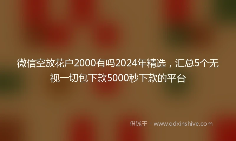 微信空放花户2000有吗2024年精选，汇总5个无视一切包下款5000秒下款的平台