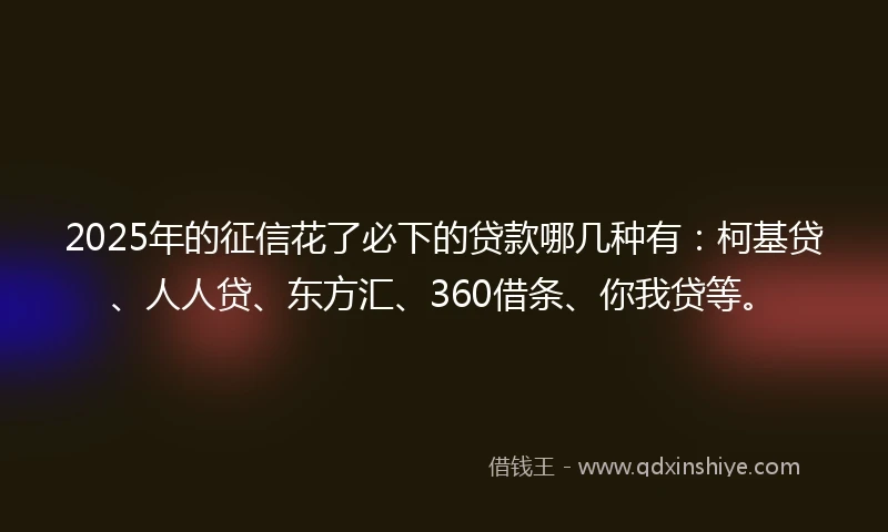 2025年的征信花了必下的贷款哪几种有：柯基贷、人人贷、东方汇、360借条、你我贷等。