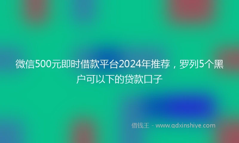 微信500元即时借款平台2024年推荐，罗列5个黑户可以下的贷款口子