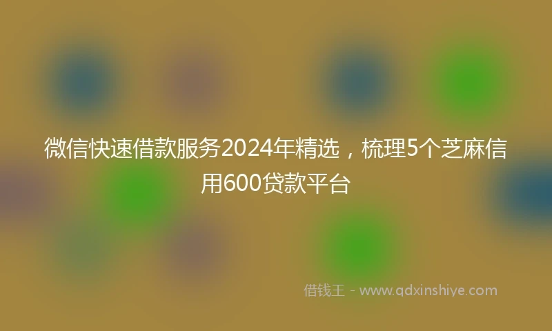 微信快速借款服务2024年精选，梳理5个芝麻信用600贷款平台