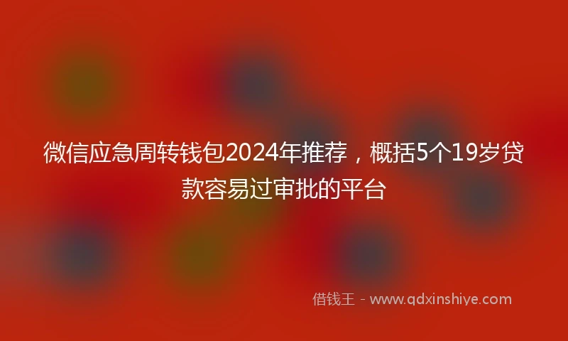 微信应急周转钱包2024年推荐，概括5个19岁贷款容易过审批的平台