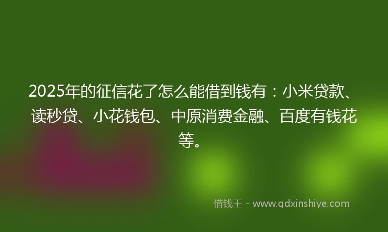 2025年的征信花了怎么能借到钱有：小米贷款、读秒贷、小花钱包、中原消费金融、百度有钱花等。