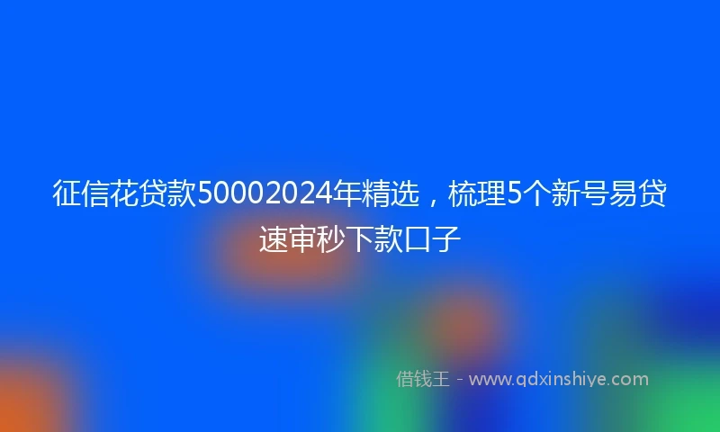征信花贷款50002024年精选，梳理5个新号易贷速审秒下款口子