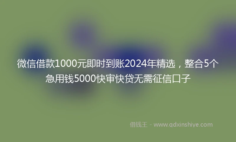微信借款1000元即时到账2024年精选，整合5个急用钱5000快审快贷无需征信口子