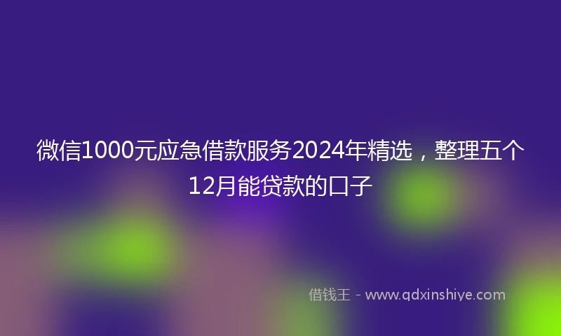 微信1000元应急借款服务2024年精选，整理五个12月能贷款的口子