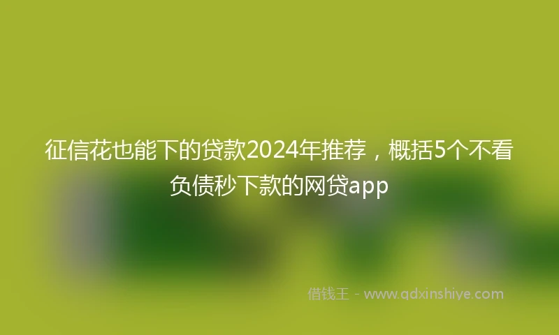 征信花也能下的贷款2024年推荐，概括5个不看负债秒下款的网贷app