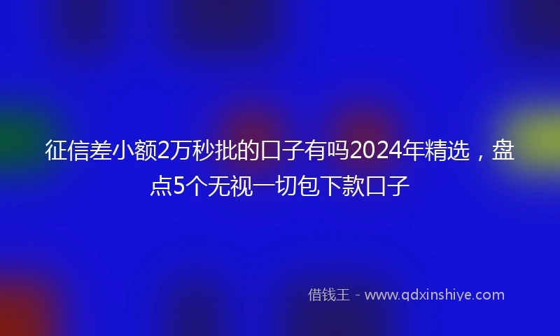 征信差小额2万秒批的口子有吗2024年精选，盘点5个无视一切包下款口子