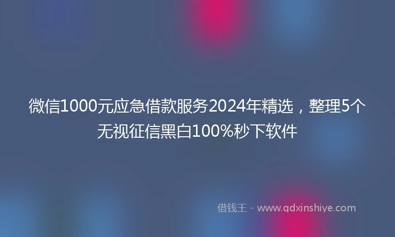 微信1000元应急借款服务2024年精选，整理5个无视征信黑白100%秒下软件