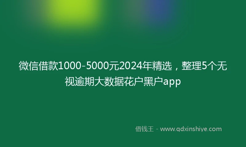 微信借款1000-5000元2024年精选，整理5个无视逾期大数据花户黑户app