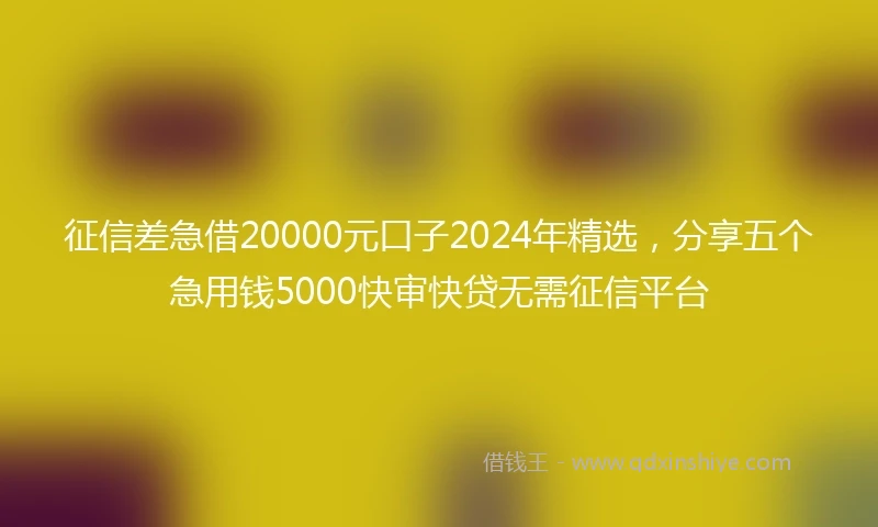 征信差急借20000元口子2024年精选，分享五个急用钱5000快审快贷无需征信平台